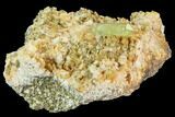 Lustrous, Yellow Apatite Crystal on Feldspar - Morocco #84316-1